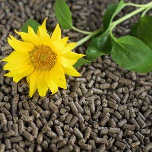 Sunflower-pellets-Sunflower-pellets-пелети-паливні-соняшникові