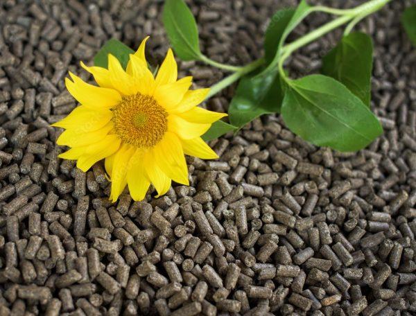 Sunflower-pellets-Sunflower-pellets-пелети-паливні-соняшникові