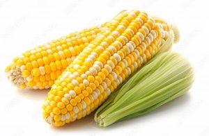 kukurudza-corn-300x196.jpg